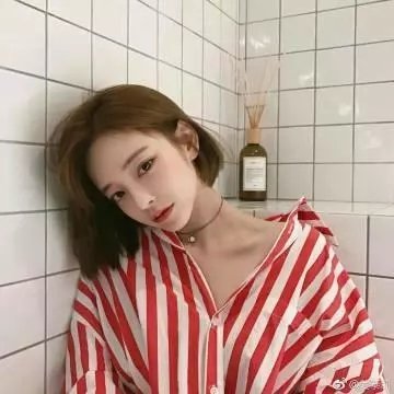 驯荒记